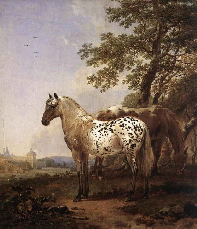 BERCHEM, Nicolaes Landscape with Two Horses Spain oil painting art